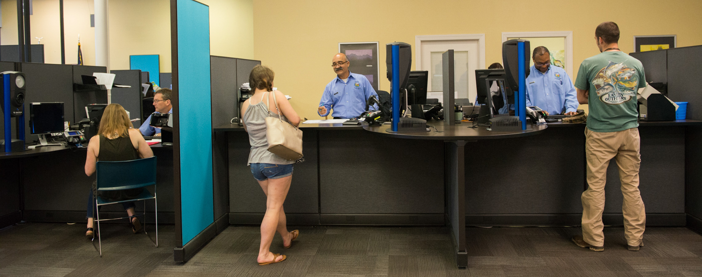 dmv All Items Flat View