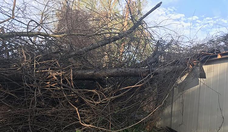 NCDOT Tornado Clean Up Collection Ends This Week in Guilford County