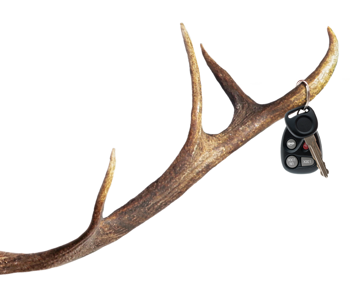A deer antler with a set of keys hanging from it